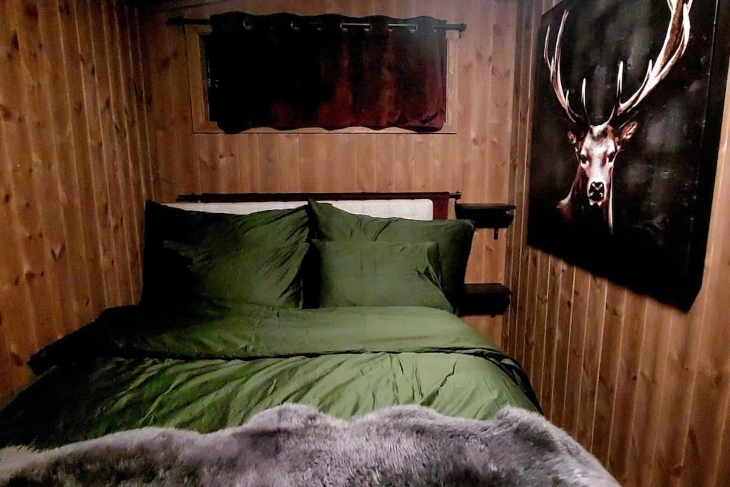 Cabin Aurora Borealis ソマロイ エクステリア 写真